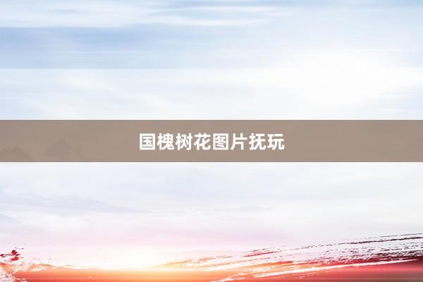 国槐树花图片抚玩