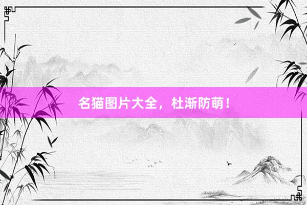 名猫图片大全，杜渐防萌！