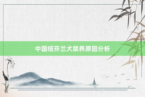中国纽芬兰犬禁养原因分析