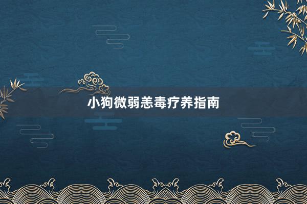 小狗微弱恙毒疗养指南